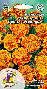 Бархатцы (тагетис)_Джем Грейпфрут_0,2_г._Уральский Дачник