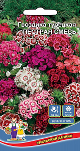Гвоздика_Пестрая см (турецкая)_0,1_г._Уральский Дачник