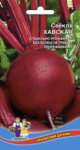 Свекла_Хавская_2_г._Уральский Дачник