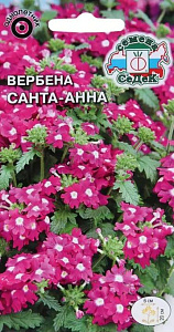 Вербена_Санта-Анна (гибридная, розовая)_0,04_г._Седек