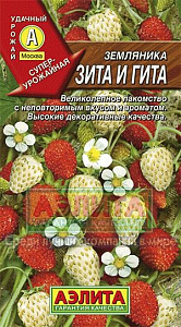 Земляника_Зита и Гита см_0_г._Аэлита