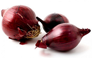 КАРМЕН 14-21 мм