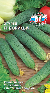 Огурец_Борисыч F1_0,2_г._Седек