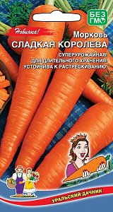 Морковь_Сладкая Королева_2_г._Уральский Дачник