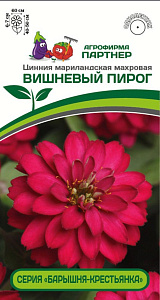 Цинния_Вишневый Пирог (Барышня-Крестьянка)_5_шт._Партнер