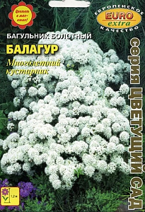 Багульник_Балагур болотный б/ф_0_г._Аэлита Э