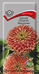 Цинния_Медно-розовая_0,4_г._Поиск