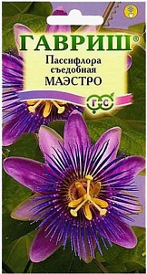 Пассифлора (страстоцвет)_Маэстро_5_шт._Гавриш
