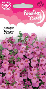 Диасция_Успех (Розовые сны)_0_г._Гавриш