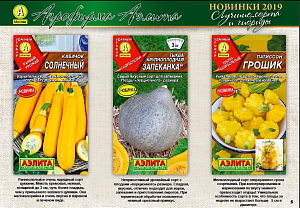 Патиссон_Грошик_1_г._Аэлита