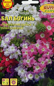 Вербена_Бал Богинь см (крупноцветковая)_0,1_г._Аэлита Э