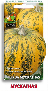 Тыква_Мускатная_10_шт._Поиск