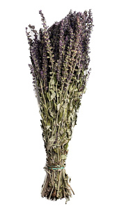 Трава-запарник ШАЛФЕЙ  XXL