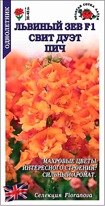 Львиный зев (антирринум)_Свит Дуэт Пич_10_шт._Золотая Сотка Алтая