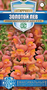 Гелихризум (бессмертник)_Королевский размер Малиновый_0,1_г._Поиск