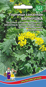 Горчица_Волнушка_1_г._Уральский Дачник
