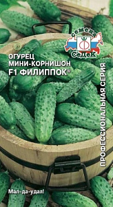 Огурец_Филиппок F1_0,3_г._Седек