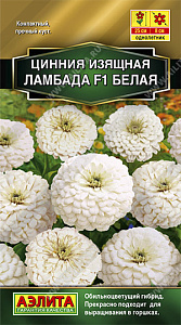 Цинния_Ламбада F1 Белая (Золотая серия)_12_шт._Аэлита