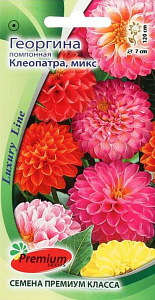 Георгин_Помпонная Клеопатра см_0,1_г._Премиум Сидс