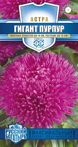 Астра_Гигант пурпур (Русский богатырь) (игольчатая)_0,1_г._Гавриш