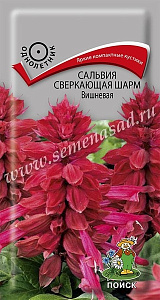 Сальвия_Шарм Вишневая_0,1_шт._Поиск