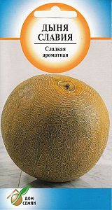Дыня_Славия_7_шт._Дом Семян С-П
