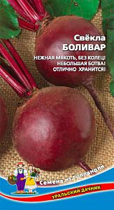 Свекла_Боливар_2_г._Уральский Дачник