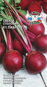 Свекла_Пабло F1_0,5_г._Седек