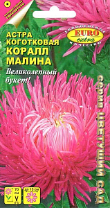 Астра_Коралл Малина (хризантемовидная)_0,1_г._Аэлита Э