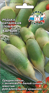 Редька_Лоба Харбин_1_г._Седек