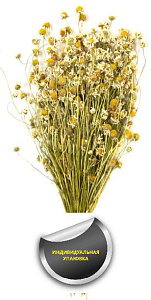 Трава-запарник  РОМАШКА (в упаковке)