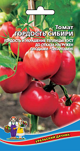 Томат_Гордость Сибири_0,1_г._Уральский Дачник