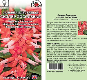 Сальвия_Сизлер Лососевая_10_шт._Золотая Сотка Алтая