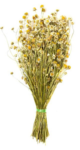 Трава-запарник РОМАШКА  XXL