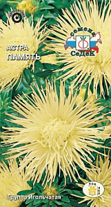Астра_Память (игольчатая, жёлтая)_0,2_г._Седек