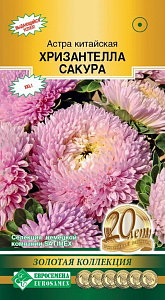 Астра_Хризантелла Сакура (Золотая Коллекция)_5_шт._ЕВРОСЕМЕНА