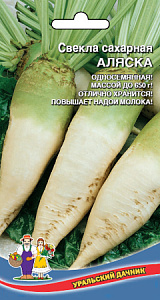 Свекла_Аляска сахарная (кормовая)_2_г._Уральский Дачник