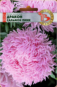 Астра_Дракон Селект Сальмон Пинк (хризантемовидная)_30_шт._Биотехника