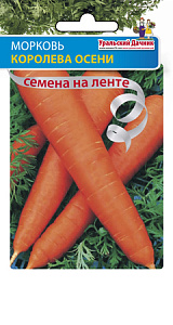 Морковь_лента_Королева осени_8_м._Уральский Дачник