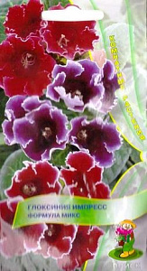 Глоксиния_Импресс Формула микс_5_шт._Поиск