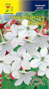 Табак душистый_Белый_0,1_г._Цветущий Сад