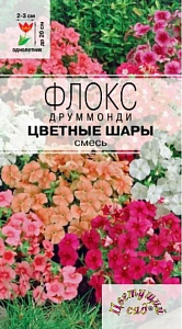 Флокс_Цветные Шары см_0,04_г._Цветущий Сад