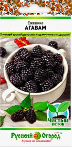 Ежевика_Агавам_22_шт._НК