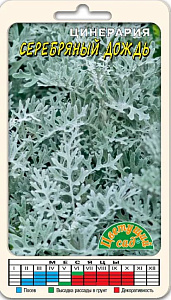 Цинерария_Серебряный дождь_0,1_г._Цветущий Сад