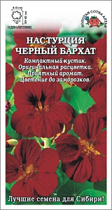 Настурция_Черный бархат (куст)_0,5_г._Золотая Сотка Алтая