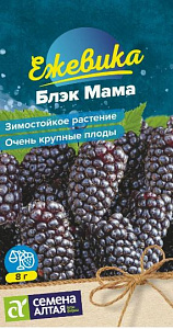 Ежевика_Блэк Мама_0,03_г._Семена Алтая