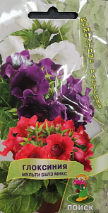 Глоксиния_Мульти Белз микс_5_шт._Поиск