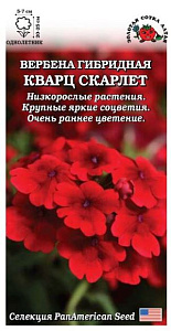 Вербена_Кварц Скарлет_5_шт._Золотая Сотка Алтая