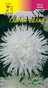 Астра_Глория белая (хризантемовидная)_0,2_г._Цветущий Сад