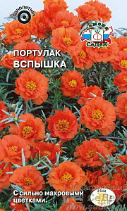 Портулак_Вспышка (махр оранжевый)_0,1_г._Седек
